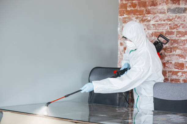 Lovington, NM Mold Removal & Remediation Company